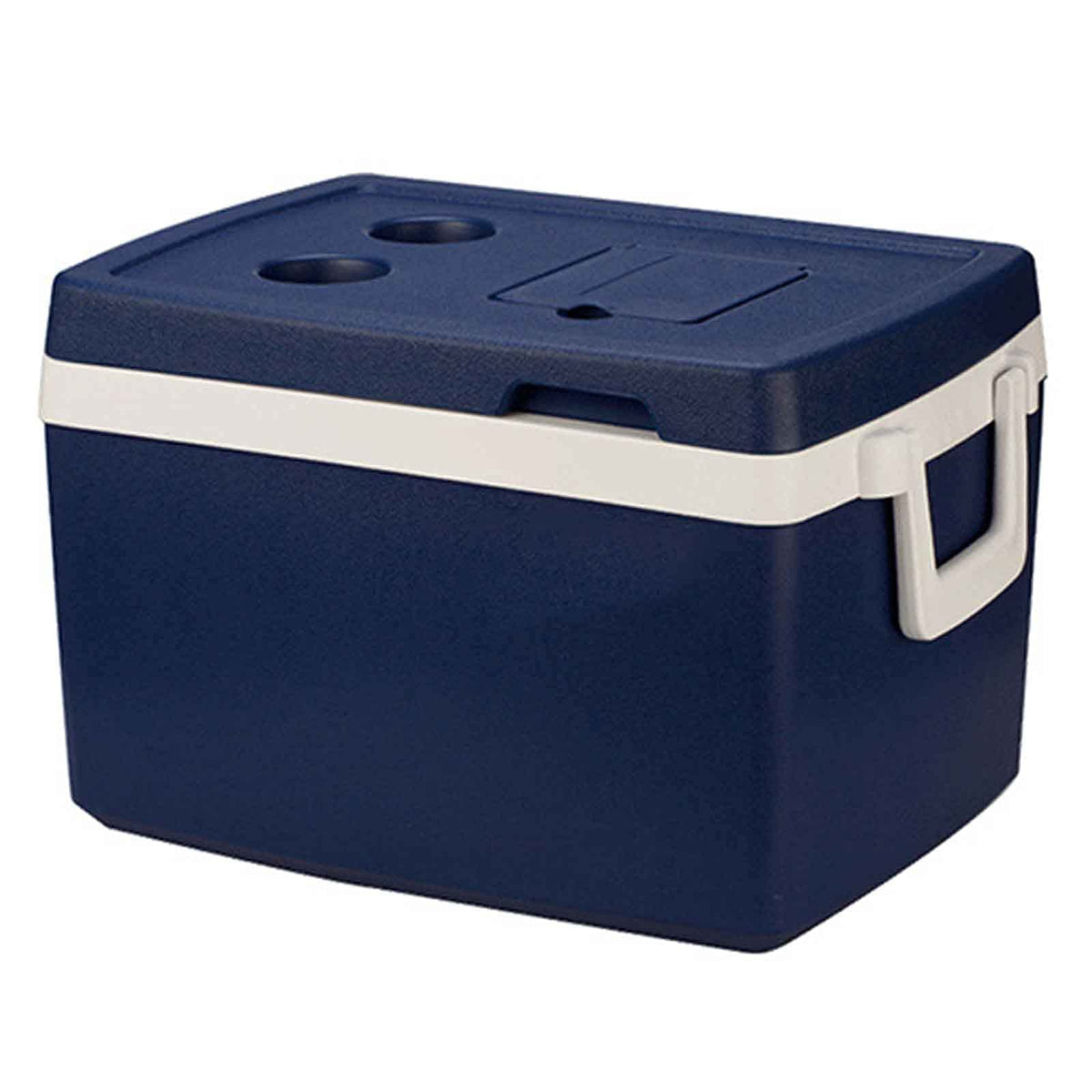Portable Insulated Cooler with Wheels