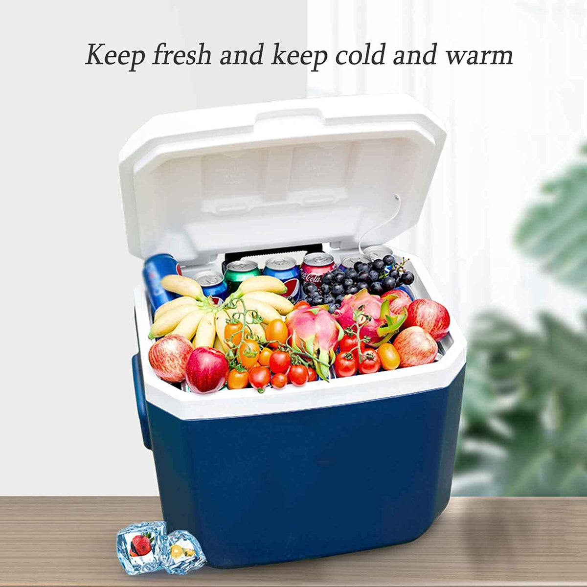 Portable Insulated Cooler with Wheels